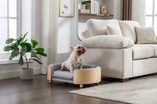 Mid Size Elevated Dog Bed w/ Removable Velvet Cushion Modern Pet Sofa Light Grey