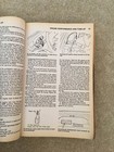 Foto 7 di 12