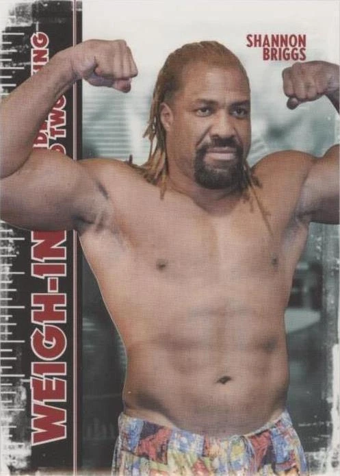 2011 Ringside Boxing Round 2 - Shannon Briggs #138