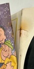 第 9/9 張圖片