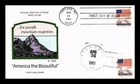 DR JIM STAMPS US COVER FLAG AMERICA THE BEAUTIFUL FDC COLLINS HAND PAINTED