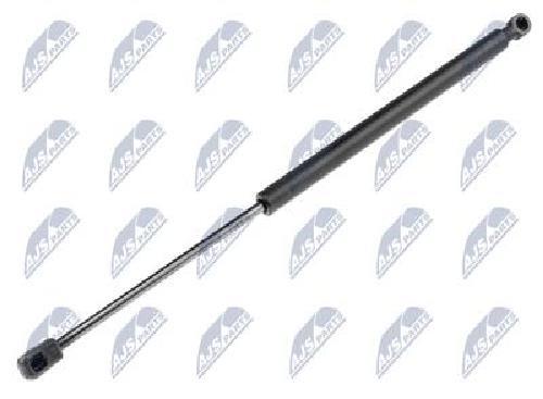 Original Nty Gasfeder Koffer-/Laderaum AE-RE-017 FüR Renault-image