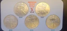 2006 - 2010 American Eagle Set Coins Vtg You Grade-999 Silver 1 Oz Ounce Art Bar