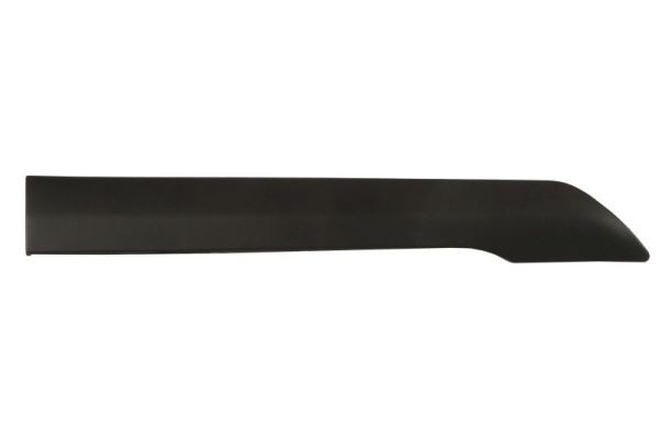 Right Front BLIC 5703-04-2508584P Trim/Protection Strip, quarter panel for FORD