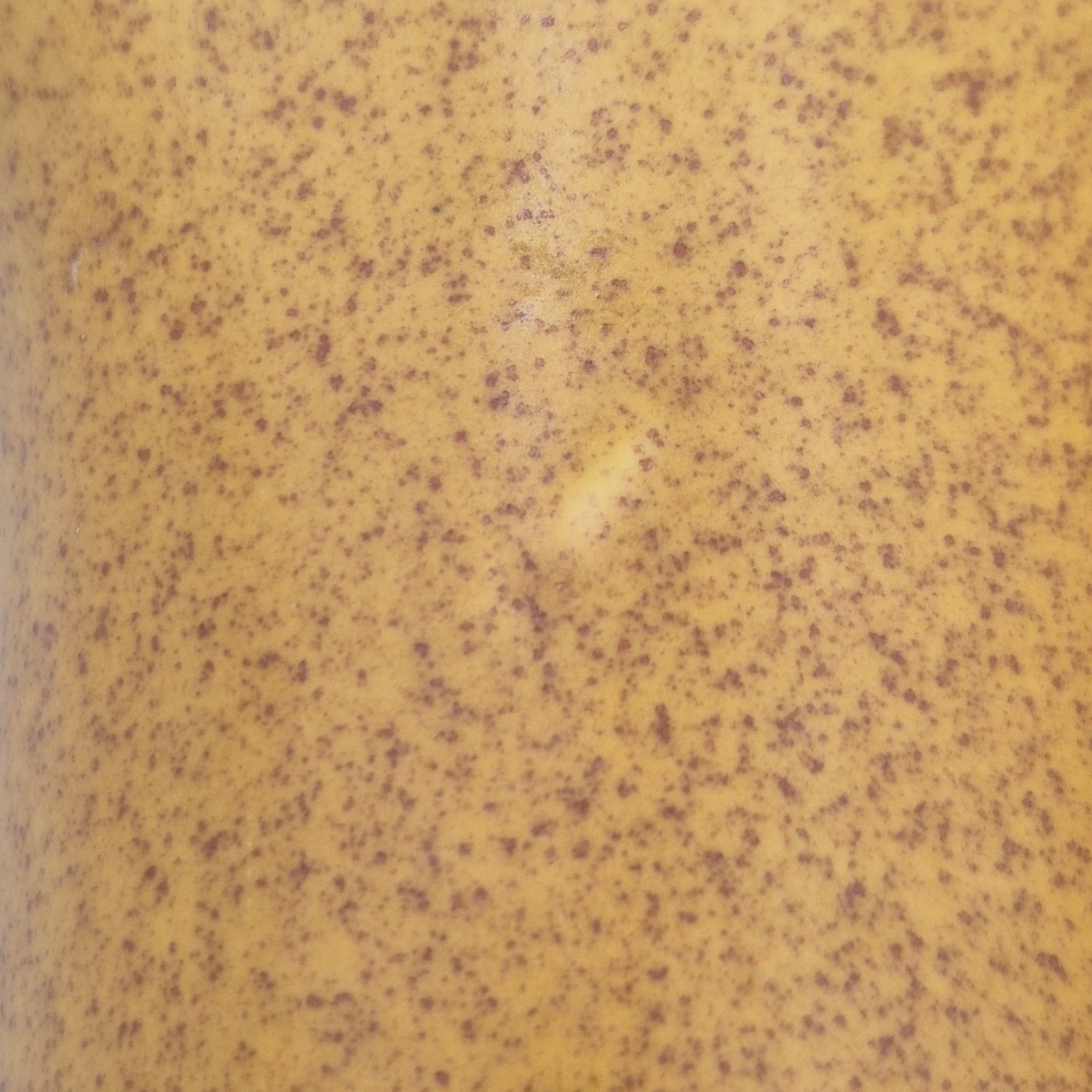 Picture 9 of 11