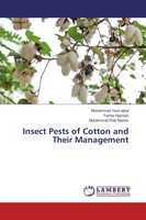 Muhammad Yasir Iqbal (U. A.) | Insect Pests Of Cotton And Their Management