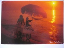 Carte Postale   CHRIS NIKOLSON   Format 12x17cm  Postcard  CP