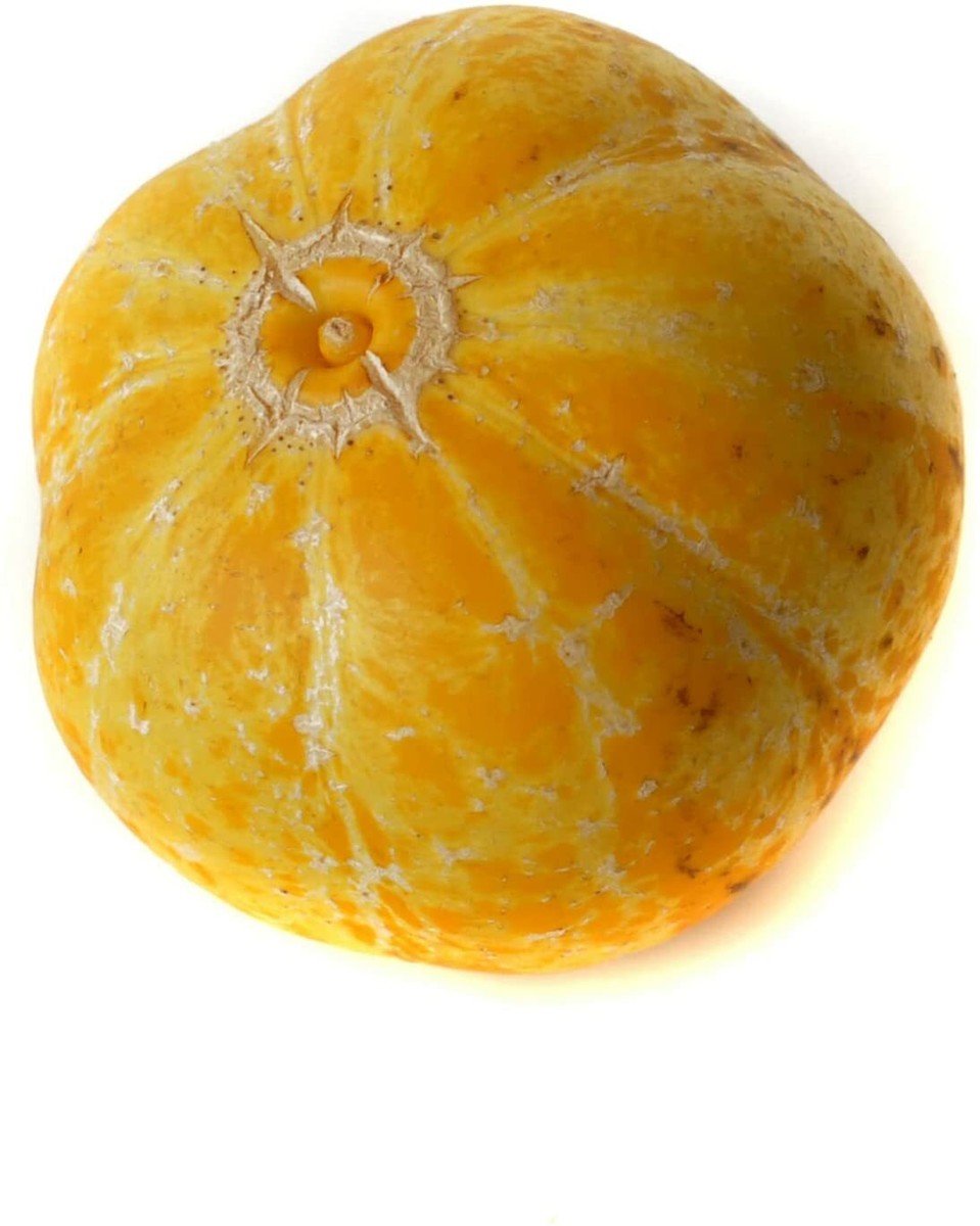 Lemon Cucumber Seeds 30+ Seeds to Grow Exotic Heirloom Vegetable