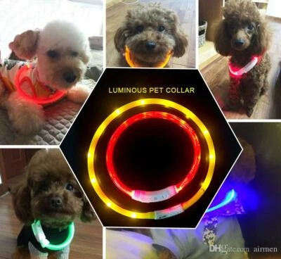 NEW TECH JUNKIES SOFT SILICONE RECHARGEABLE COLLAR glow light-UP LED for Dog Cat Pet Night Safety