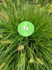 Linear Outdoor Thermometer, Gartenthermometer...