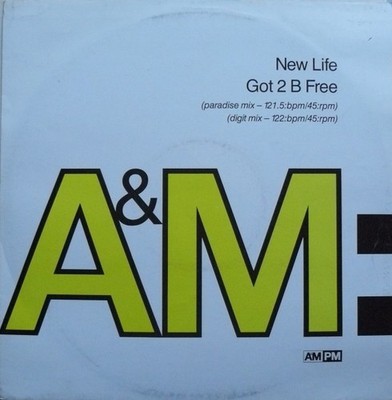New Life - Got 2 B Free (12'', Promo) (Near Mint (NM or M-)) - 2791451803