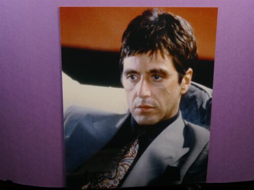 8"x10" photo couleur célébrité Al Pacino Scarface le parrain chiot jour après-midi - Photo 1/1