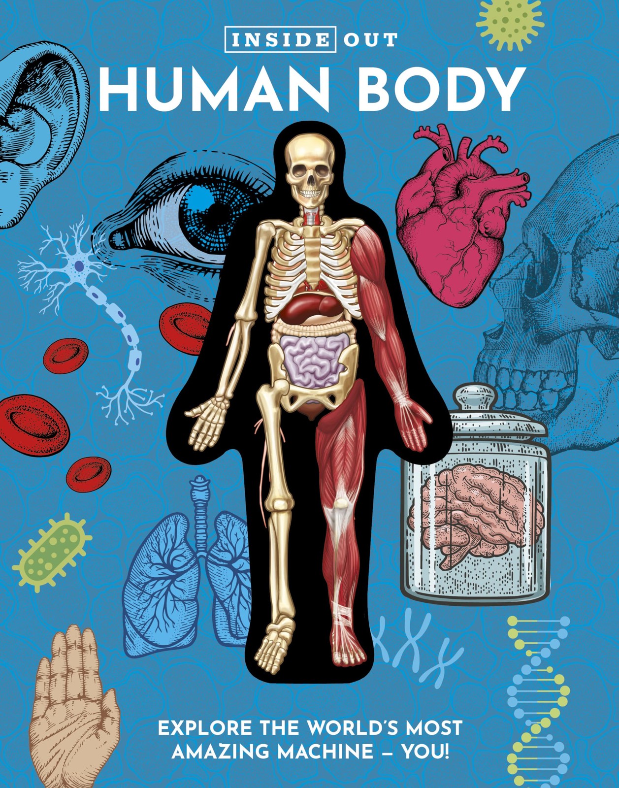 Inside Out Human Body Luann Columbo Kids Science Anatomy Educational Book - Image 4