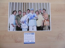 The Beach Boys "Mike Love & Bruce Johnston" autograph signed 20x30 cm photo ACOA