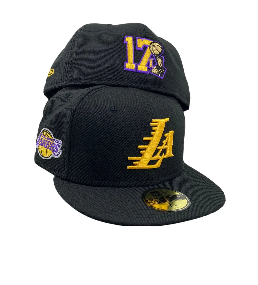 Los Angeles Lakers Fans 17x