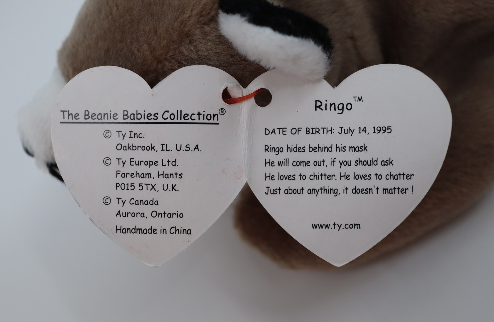 Ty Beanie Babies Ringo Raccoon 1995 *RARE, ERRORS* (Retired, Baby) eBay