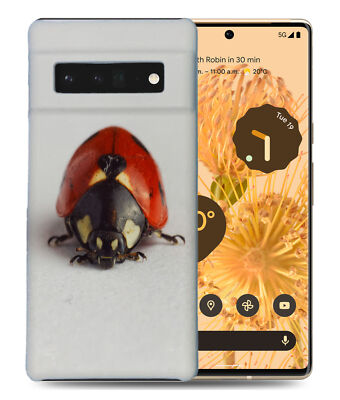 CASE COVER FOR GOOGLE PIXEL|LADYBUG COCCINELLIDAE INSECT #14