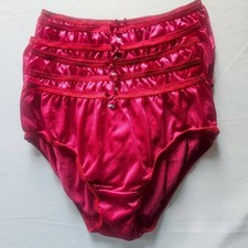 6Pcs Bikini Underwear Nylon Woman Panties Light Soft Briefs Hip 38"-42" XL /Red