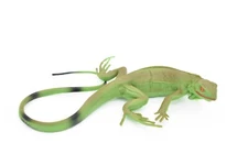 Iguana, Green, Lizard, Realistic Rubber Model, Hand Painted Toy   7"  CH053 BB78