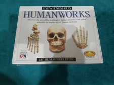 Human Works 18" Human Skeleton Hand On Learning Modeling Kit Eyewitness Kits NEW