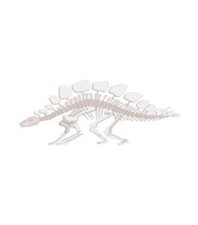 Jolee's Boutique Stegosaurus Dimensional Sticker
