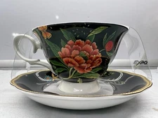 Black Red Poppies  Floral Footed Cup And Saucer Set Stechcol Bone China  New