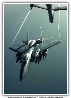 McDonnell Douglas F-15E Strike Eagle issue 25 Aircraft