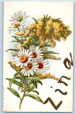 c1910's Zina Girls Name Daisy Flowers Embossed Unposted Antique Postcard