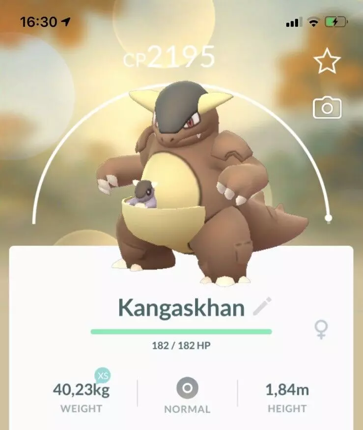 Pokémon Go regional Kangaskhan l ! ~~unregistered ok~ same day fast