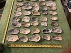 Lot of 58 Atlantic Oyster Shells 2.5 To 4.75 Inch Long Craft Art — photo 5