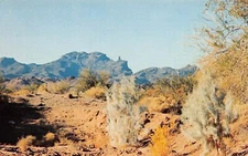 Finger Rock Canyon AZ Arizona Southwest Desert Fauna Vtg Postcard Z8