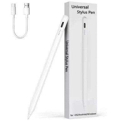 Magnetischer Stylus Stift für iPad 10/9/8/7 Pro Air Universal Wiederaufladbar