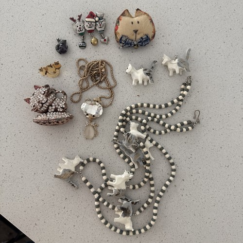 Cat Lover’s Jewelry Lot