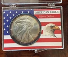 2002 American Silver Eagle $1 Coin 1 oz .999 Fine Silver Toned BU Uncleaned