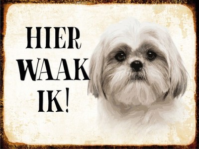 Blechschild 20x30 cm holländisch Hier Waak ik Shih Tzu Deko Geschenk  Schild