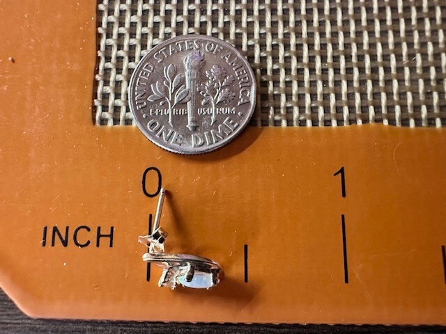 Picture 6 of 6