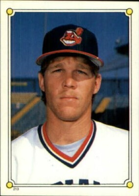 1987 O Pee Chee Aufkleber BB Karte #S 201-313 (A4405) - You Pick - 15 + Free