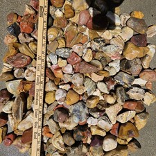 7.5 POUNDS of TUMBLING ROUGH Includes: Mixed Agate's, Jasper's etc.