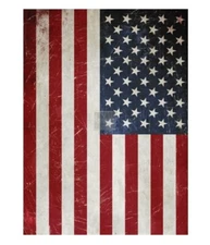 RETIRED "America" - Redesign With Prima Transfer Rub On Furniture Decal USA Flag