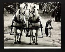 1985 Boston Massachusetts Roman Centurion Horse Chariot Driver VTG Press Photo