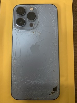 13 Pro 256 Unlocked 84% ( Read Description)