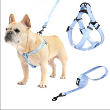 No Pull Dog Harness Soft Adjustable Basic Nylon Step in Puppy Vest and Leash