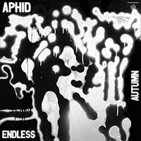 Endless Autumn - Vinyl Record - K600Z