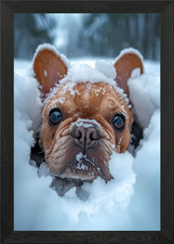Bulldog francese cucciolo di neve incorniciato poster arte da parete quadro stampa su tela