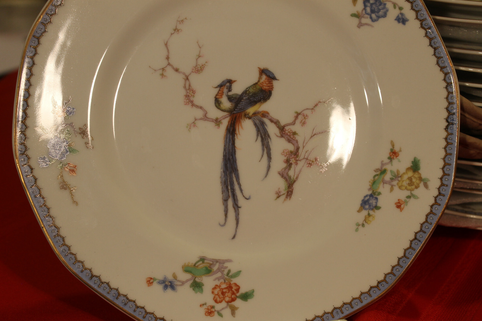 HAVILAND LIMOGES (1) DINNER PLATE *PARADISE* 1229 BIRD OF PARADISE