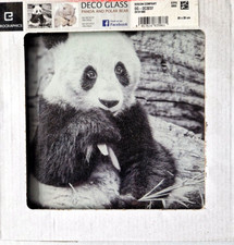 Eurographics Glasbild 20x20cm, Wild Animals Panda Bär Bear, DG-DC3237, NEU/OVP