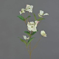 Artplants KüNstlicher Japanischer Hartriegel Zweig Kohana, Creme, 70Cm