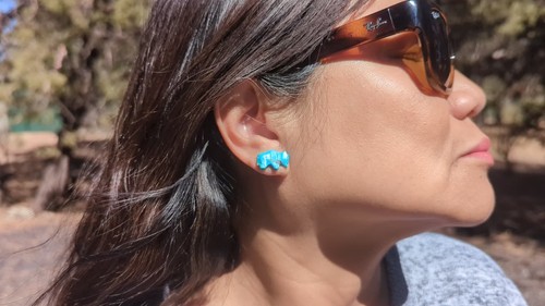 Handcrafted Native American Carved Buffalo Stud Earrings stabilized Turquoise ** - Video 1 of 1