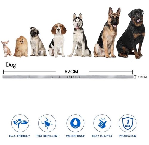 Dog Protection Collar 8 Months Safety Allergy Free Waterproof Dogs Collars - Picture 9 of 9
