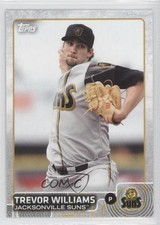 2015 Topps Pro Debut Trevor Williams #136 0c4